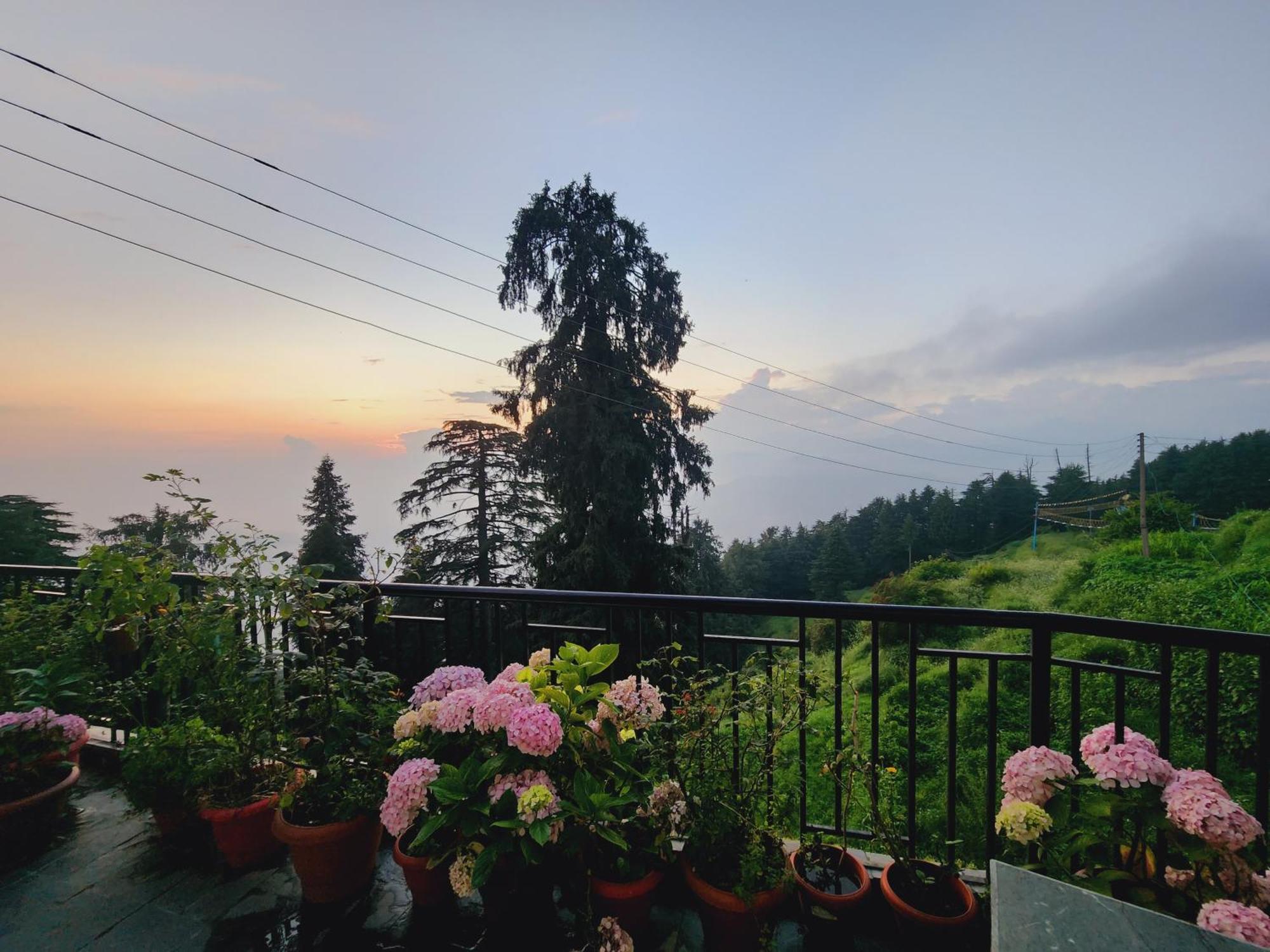 Smarthill Kalatop-Nature'S Heaven Hotel Dalhousie Eksteriør billede
