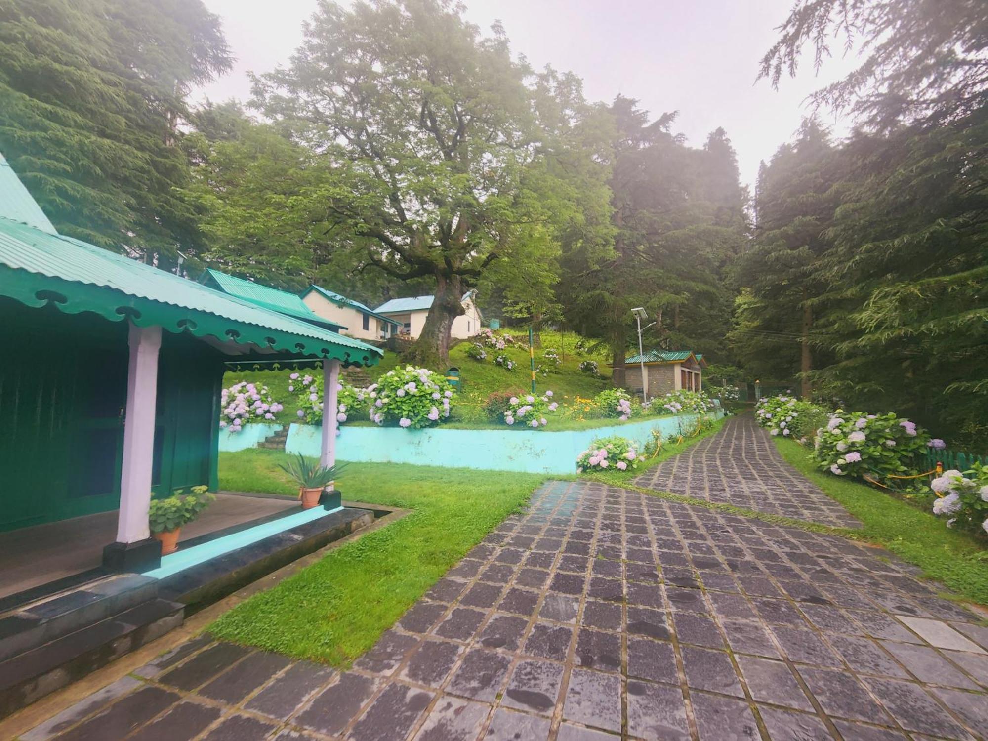 Smarthill Kalatop-Nature'S Heaven Hotel Dalhousie Eksteriør billede