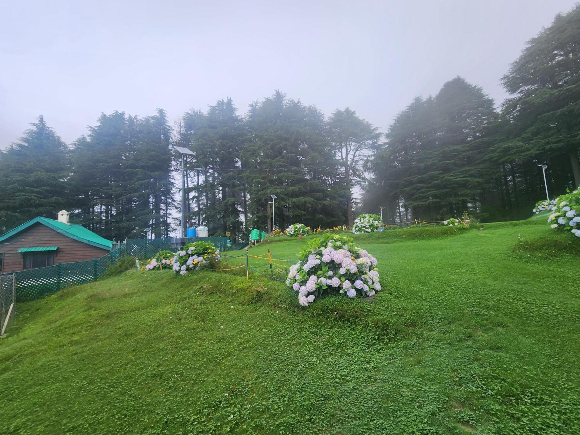 Smarthill Kalatop-Nature'S Heaven Hotel Dalhousie Eksteriør billede