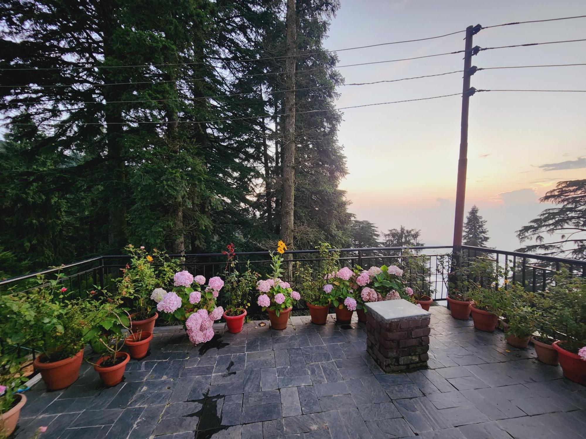 Smarthill Kalatop-Nature'S Heaven Hotel Dalhousie Eksteriør billede