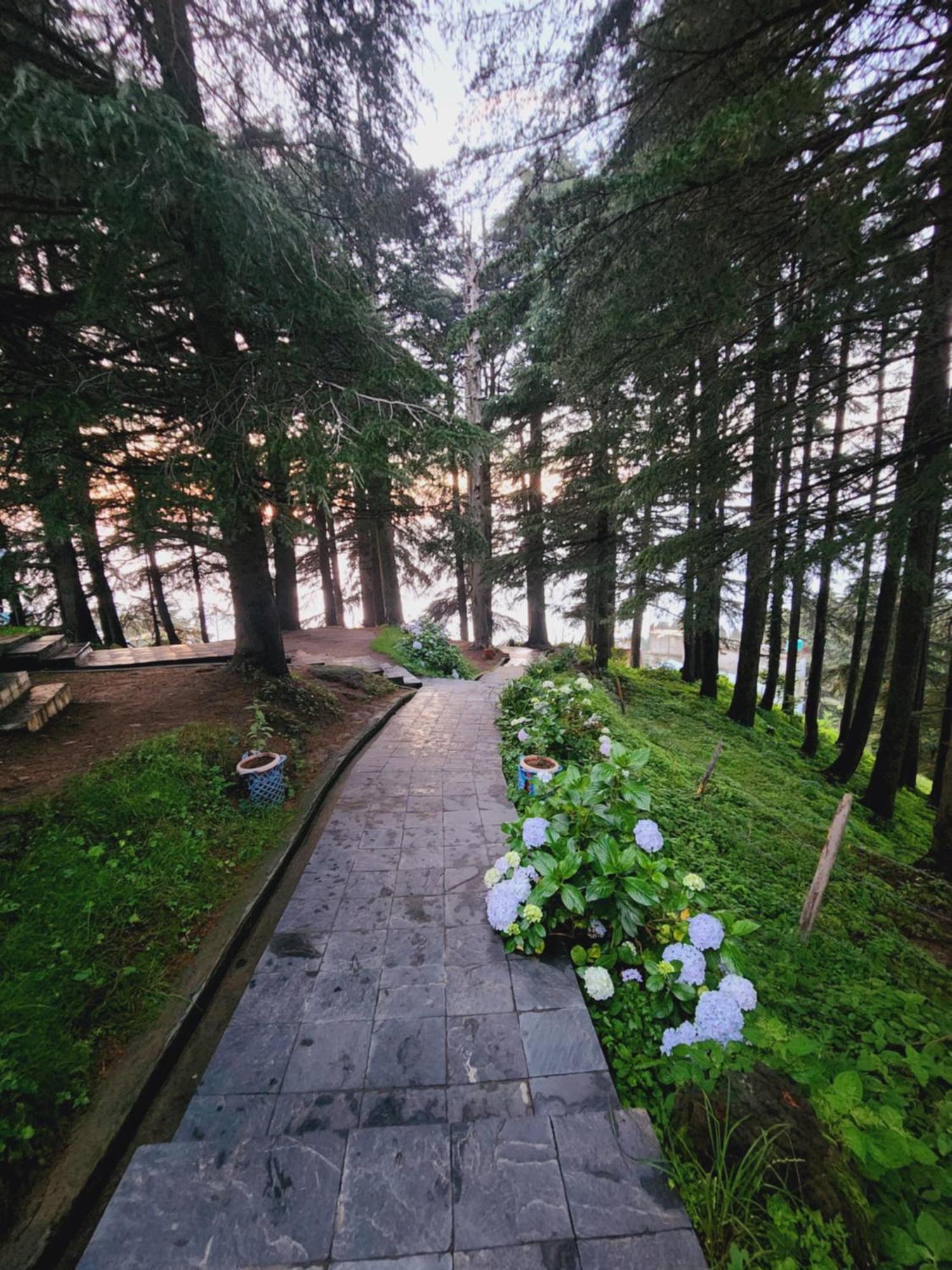 Smarthill Kalatop-Nature'S Heaven Hotel Dalhousie Eksteriør billede